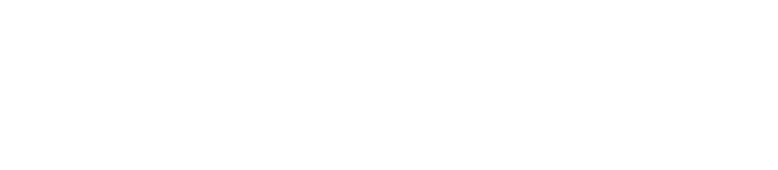 EasyAudit反白logo